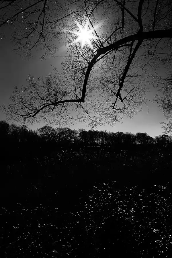 009 | 2022 | Berlin | Obersee-Orankesee-Park | © carsten riede fotografie