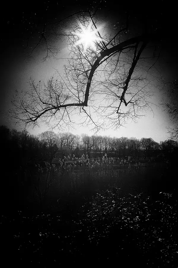 010 | 2022 | Berlin | Obersee-Orankesee-Park | © carsten riede fotografie