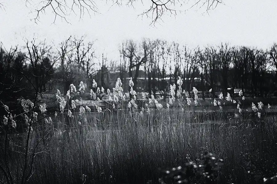 011 | 2022 | Berlin | Obersee-Orankesee-Park | © carsten riede fotografie