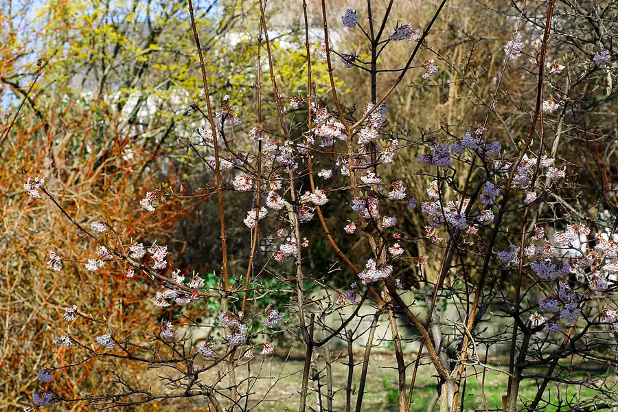 016 | 2022 | Berlin | Obersee-Orankesee-Park | © carsten riede fotografie