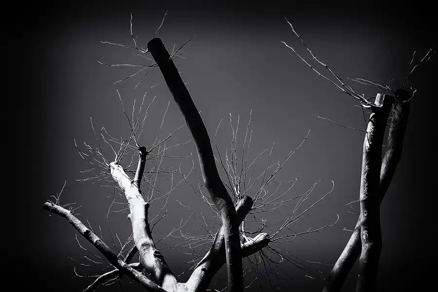 020 | 2022 | Berlin | Obersee-Orankesee-Park | © carsten riede fotografie