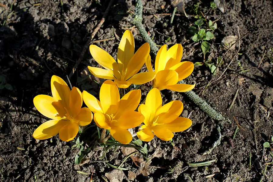 024 | 2022 | Berlin | Obersee-Orankesee-Park | © carsten riede fotografie