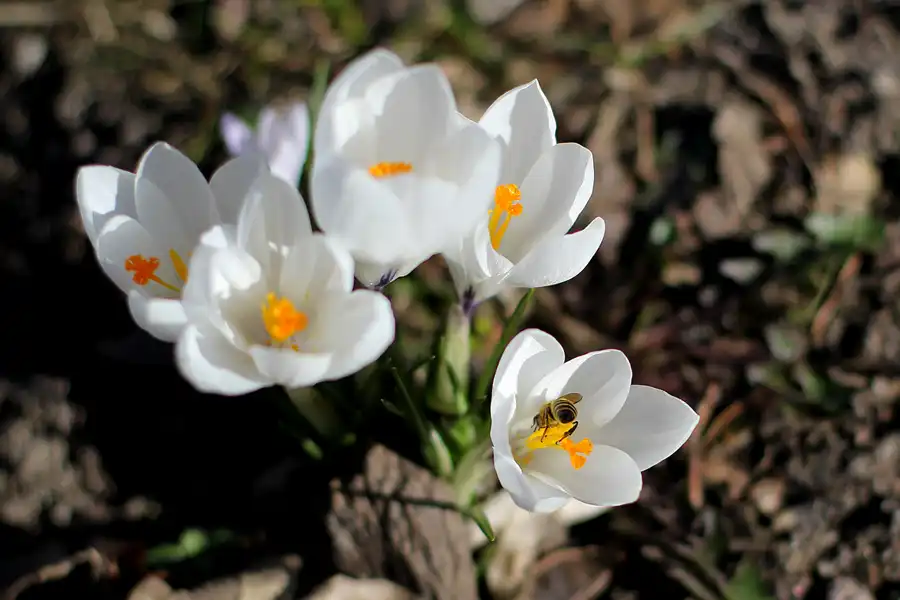 026 | 2022 | Berlin | Obersee-Orankesee-Park | © carsten riede fotografie