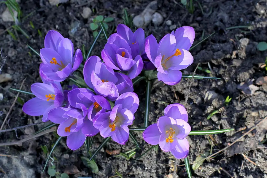 028 | 2022 | Berlin | Obersee-Orankesee-Park | © carsten riede fotografie