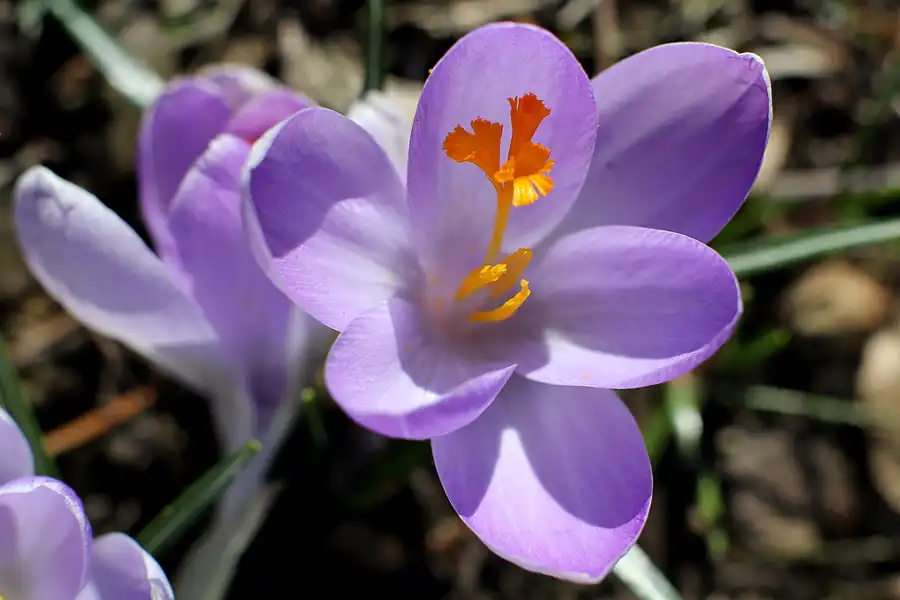030 | 2022 | Berlin | Obersee-Orankesee-Park | © carsten riede fotografie