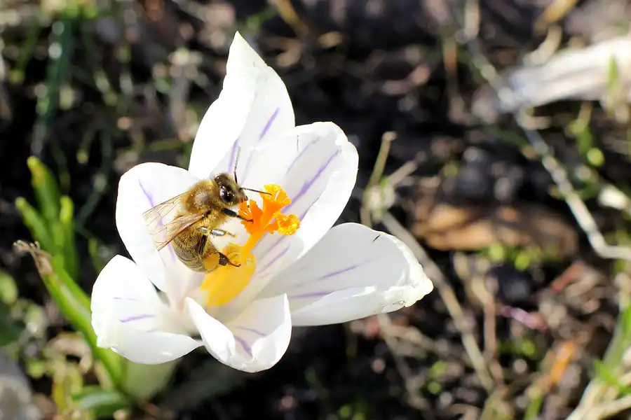 033 | 2022 | Berlin | Obersee-Orankesee-Park | © carsten riede fotografie