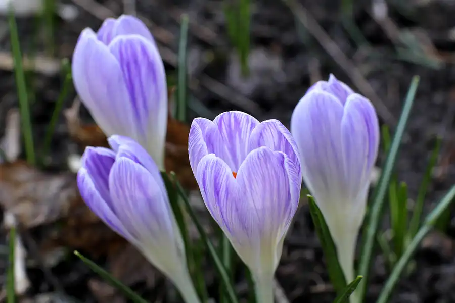 034 | 2022 | Berlin | Obersee-Orankesee-Park | © carsten riede fotografie
