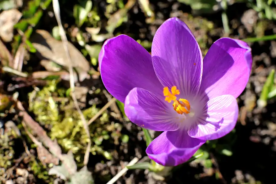 035 | 2022 | Berlin | Obersee-Orankesee-Park | © carsten riede fotografie