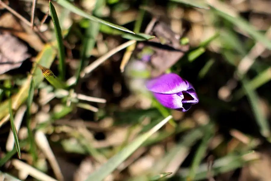 036 | 2022 | Berlin | Obersee-Orankesee-Park | © carsten riede fotografie