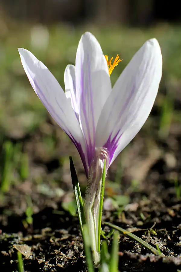 037 | 2022 | Berlin | Obersee-Orankesee-Park | © carsten riede fotografie