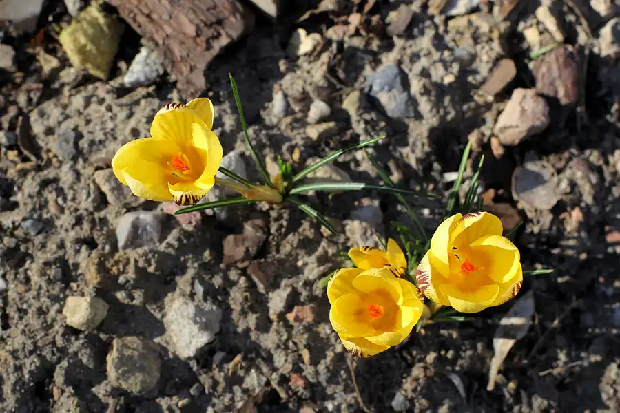 038 | 2022 | Berlin | Obersee-Orankesee-Park | © carsten riede fotografie