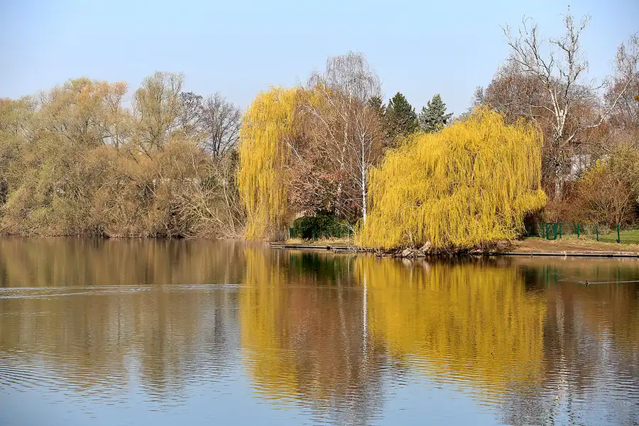 039 | 2022 | Berlin | Obersee-Orankesee-Park | © carsten riede fotografie
