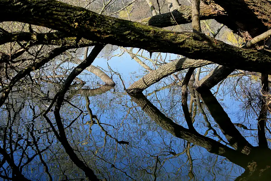 043 | 2022 | Berlin | Obersee-Orankesee-Park | © carsten riede fotografie