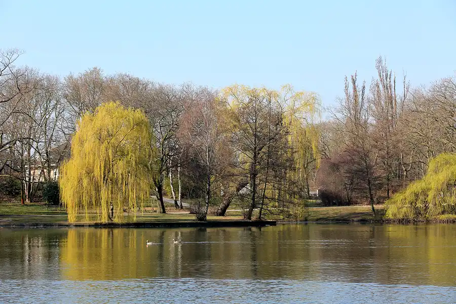 048 | 2022 | Berlin | Obersee-Orankesee-Park | © carsten riede fotografie