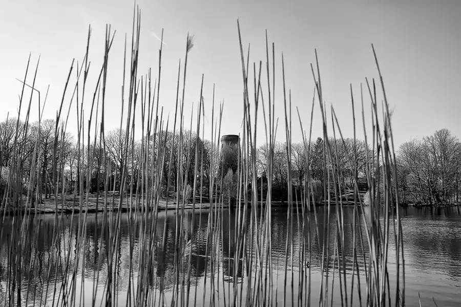 049 | 2022 | Berlin | Obersee-Orankesee-Park | © carsten riede fotografie