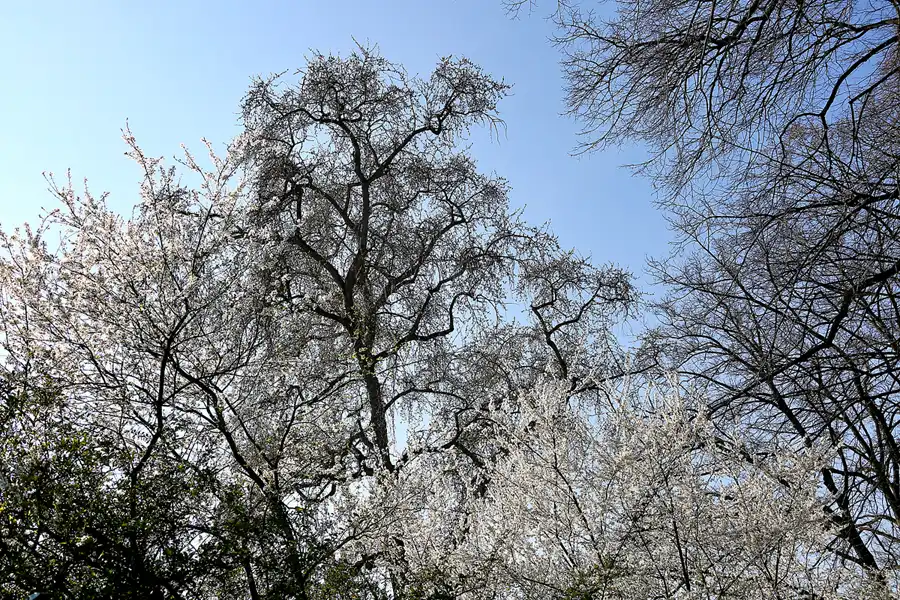050 | 2022 | Berlin | Obersee-Orankesee-Park | © carsten riede fotografie