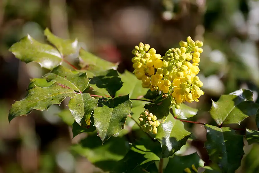 057 | 2022 | Berlin | Obersee-Orankesee-Park | © carsten riede fotografie