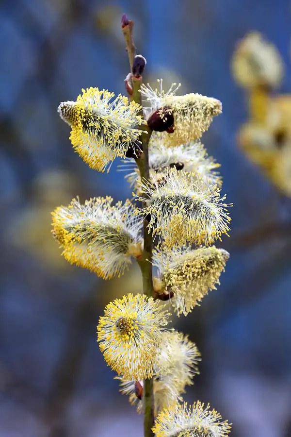 060 | 2022 | Berlin | Sportforum | © carsten riede fotografie