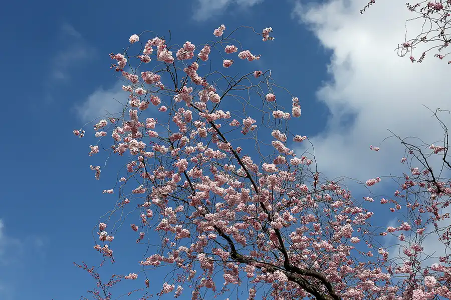 062 | 2022 | Berlin | Sportforum | © carsten riede fotografie
