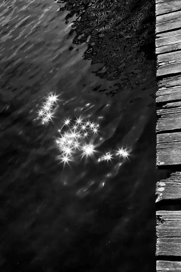 001 | 2022 | Berlin | Obersee-Orankesee-Park | © carsten riede fotografie