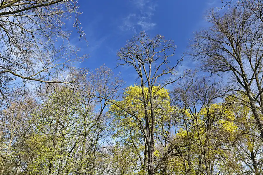 007 | 2022 | Berlin | Obersee-Orankesee-Park | © carsten riede fotografie