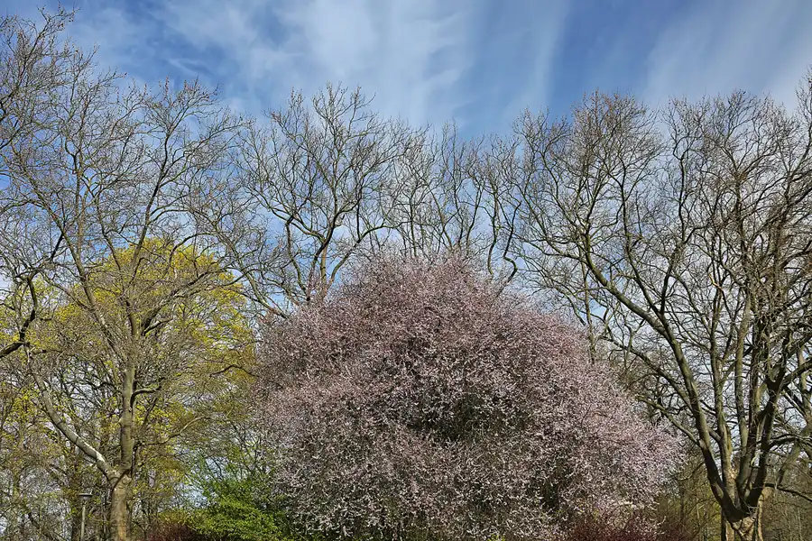008 | 2022 | Berlin | Obersee-Orankesee-Park | © carsten riede fotografie