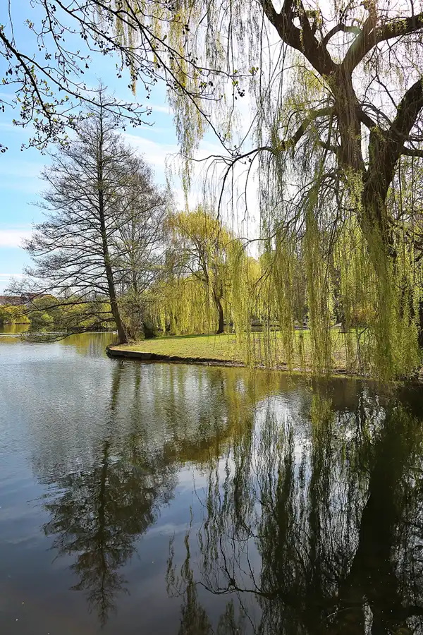 023 | 2022 | Berlin | Obersee-Orankesee-Park | © carsten riede fotografie