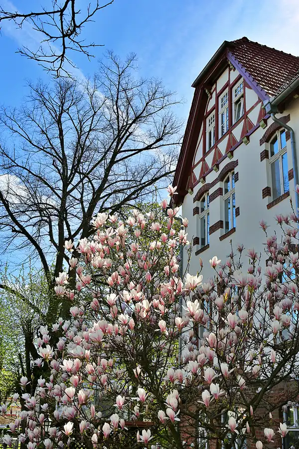 027 | 2022 | Berlin | Manetstrasse | © carsten riede fotografie