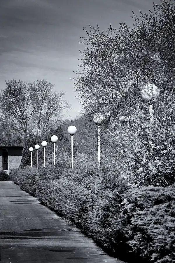 029 | 2022 | Berlin | Sportforum | © carsten riede fotografie