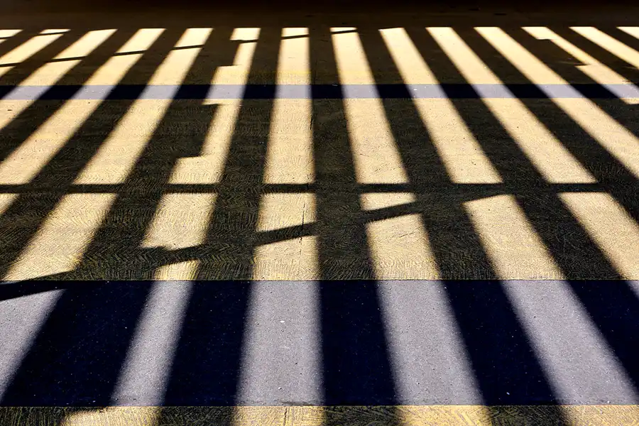 046 | 2022 | Berlin | Sportforum | © carsten riede fotografie