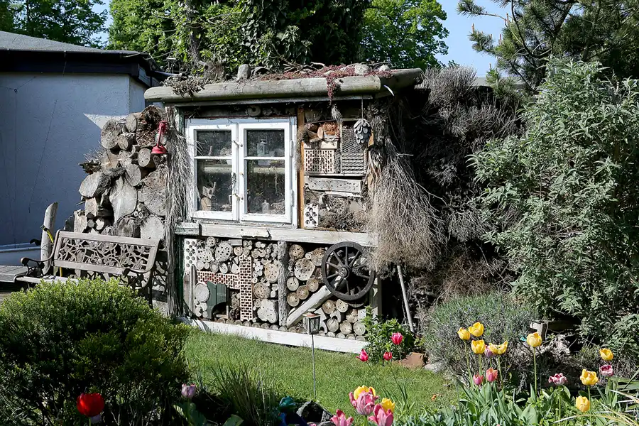 002 | 2022 | Berlin | KGA Sonnenschein | © carsten riede fotografie