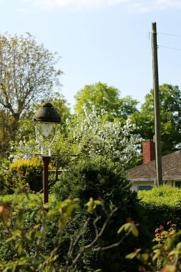 005 | 2022 | Berlin | KGA Sonnenschein | © carsten riede fotografie