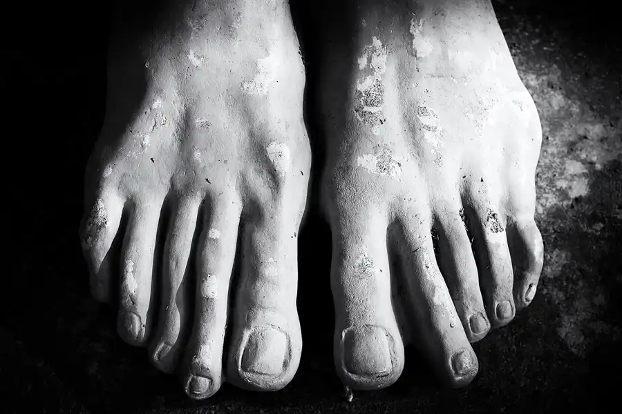 018 | 2022 | Berlin | Obersee-Orankesee-Park | © carsten riede fotografie