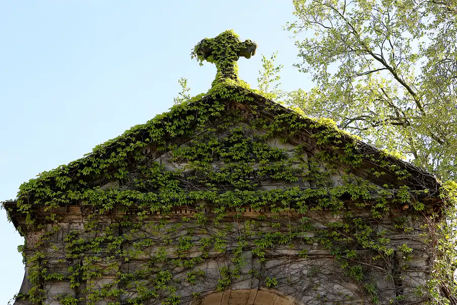 001 | 2022 | Berlin | Alter St.-Matthäus-Kirchhof | © carsten riede fotografie