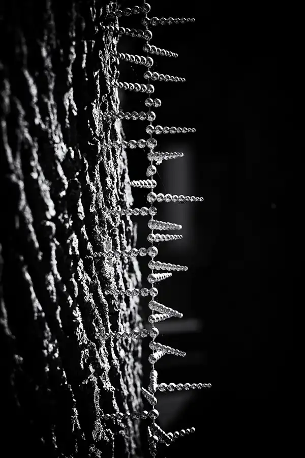 019 | 2022 | Berlin | Alter St.-Matthäus-Kirchhof | © carsten riede fotografie