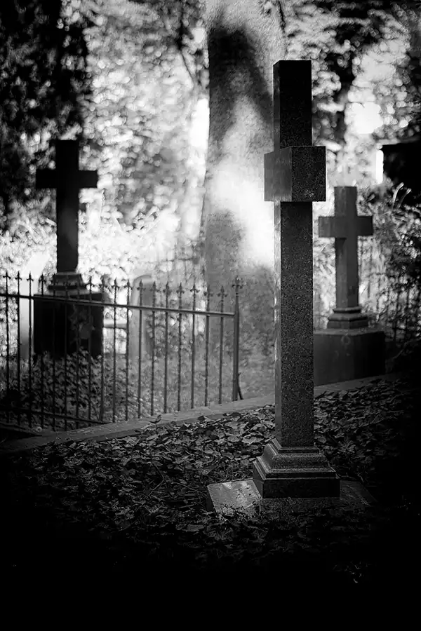 028 | 2022 | Berlin | Alter St.-Matthäus-Kirchhof | © carsten riede fotografie