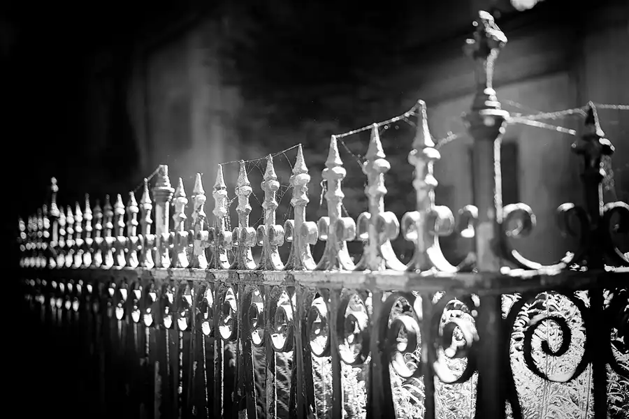 075 | 2022 | Berlin | Alter St.-Matthäus-Kirchhof | © carsten riede fotografie