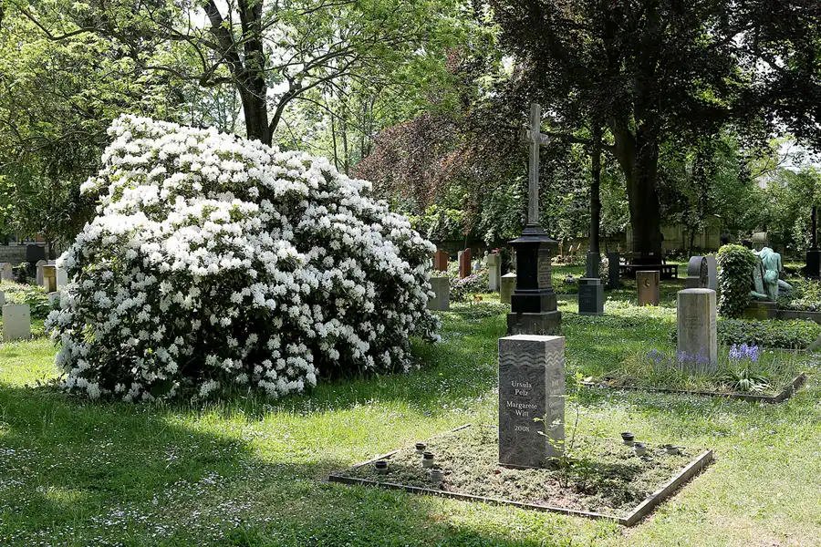 005 | 2022 | Dresden | Alter Annenfriedhof | © carsten riede fotografie