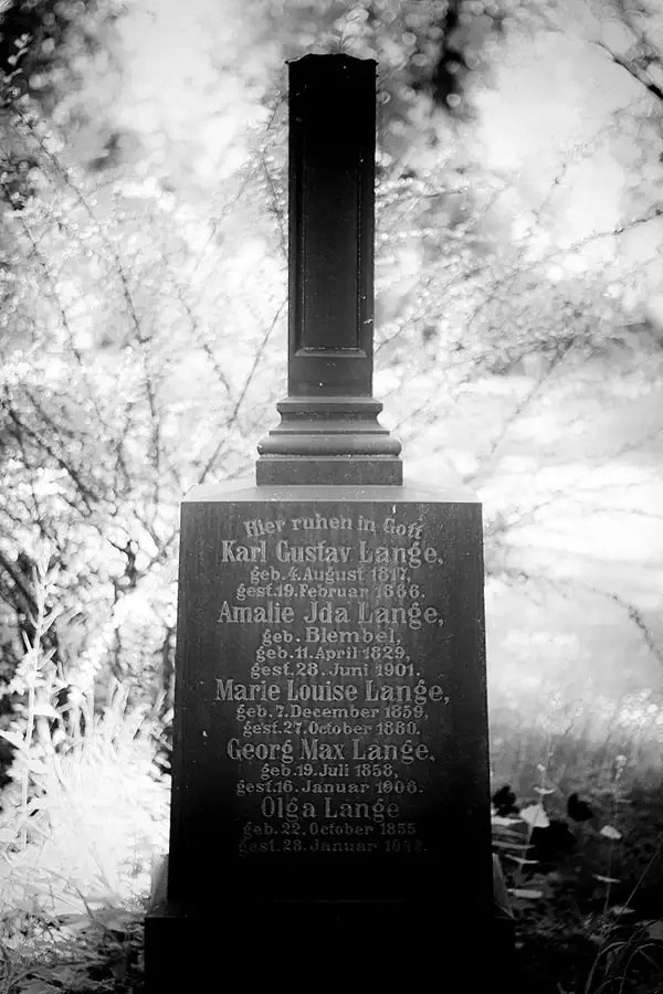 011 | 2022 | Dresden | Alter Annenfriedhof | © carsten riede fotografie