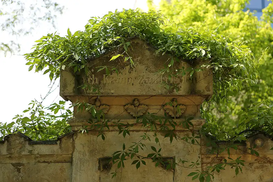 013 | 2022 | Dresden | Alter Annenfriedhof | © carsten riede fotografie