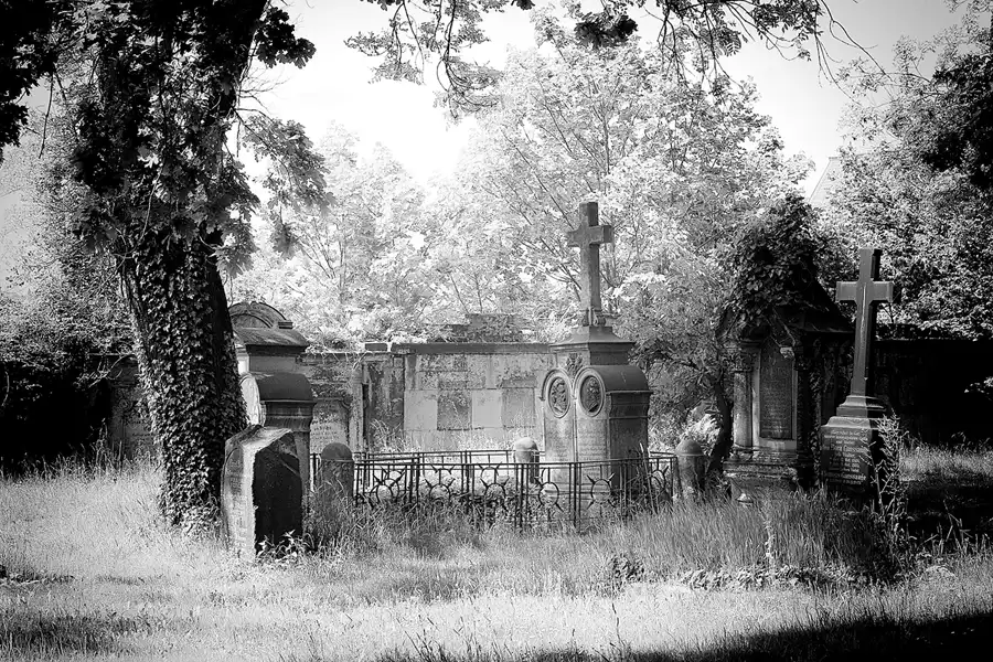 024 | 2022 | Dresden | Alter Annenfriedhof | © carsten riede fotografie