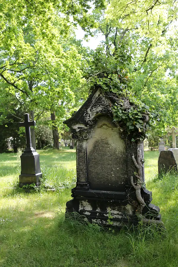 029 | 2022 | Dresden | Alter Annenfriedhof | © carsten riede fotografie