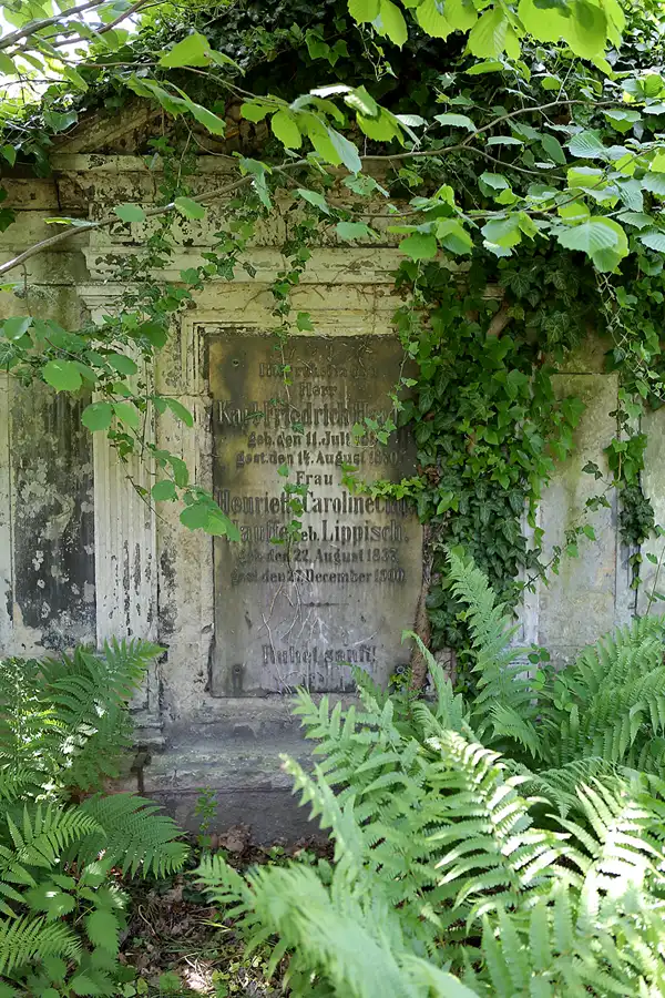 032 | 2022 | Dresden | Alter Annenfriedhof | © carsten riede fotografie