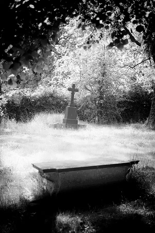 040 | 2022 | Dresden | Alter Annenfriedhof | © carsten riede fotografie