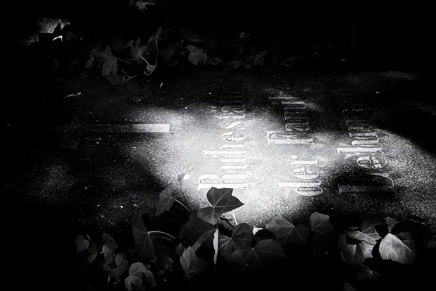 041 | 2022 | Dresden | Alter Annenfriedhof | © carsten riede fotografie