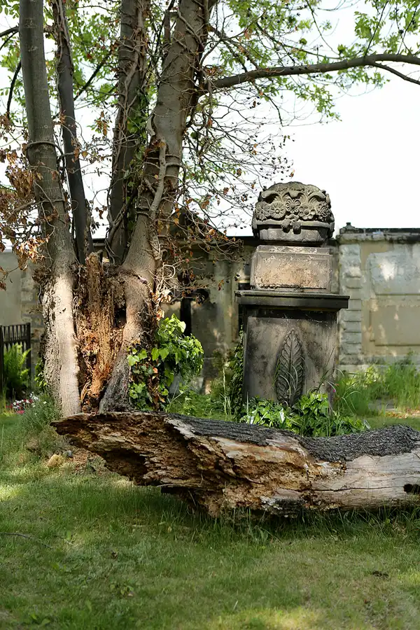 045 | 2022 | Dresden | Alter Annenfriedhof | © carsten riede fotografie