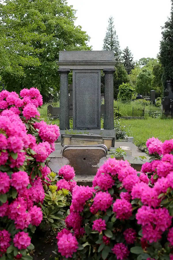 049 | 2022 | Dresden | Alter Annenfriedhof | © carsten riede fotografie