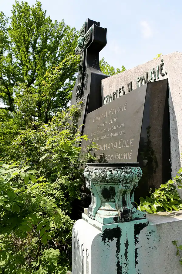 050 | 2022 | Dresden | Alter Annenfriedhof | © carsten riede fotografie