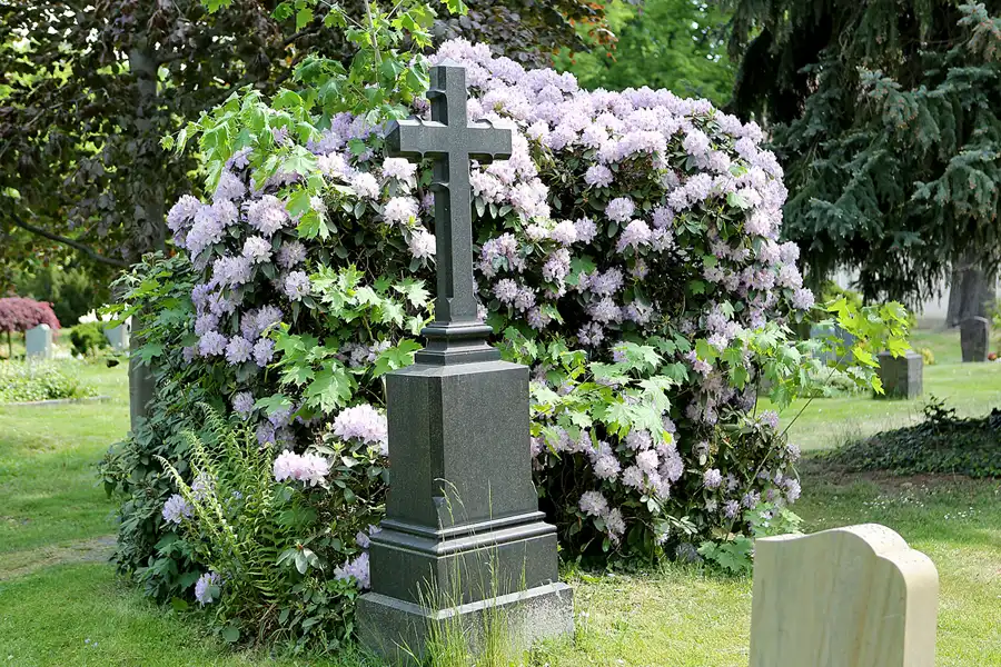 083 | 2022 | Dresden | Alter Annenfriedhof | © carsten riede fotografie