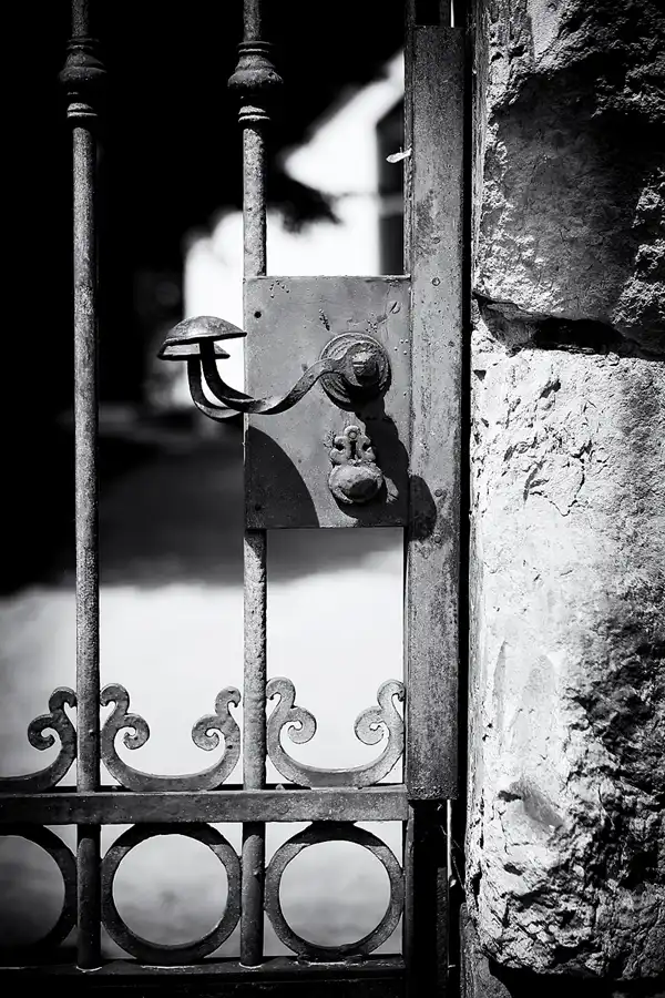 087 | 2022 | Dresden | Alter Annenfriedhof | © carsten riede fotografie